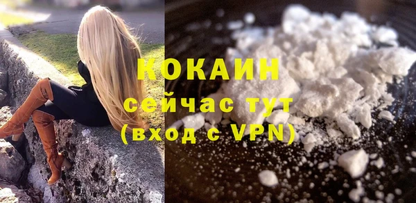 spice Богородицк