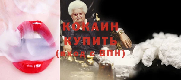 spice Богородицк