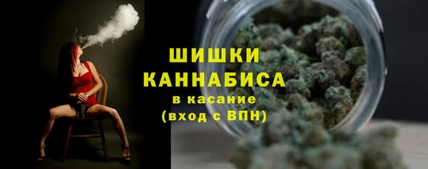 a pvp Богданович