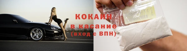 spice Богородицк