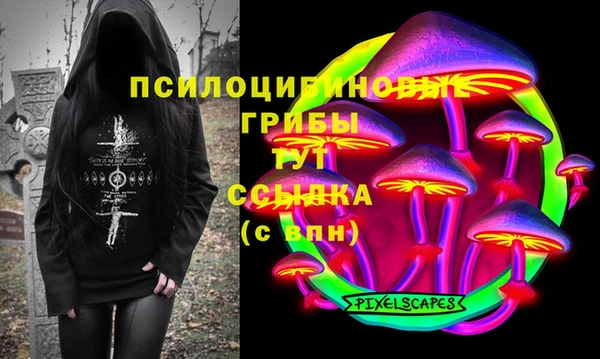 винт Бородино