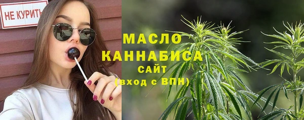 spice Богородицк