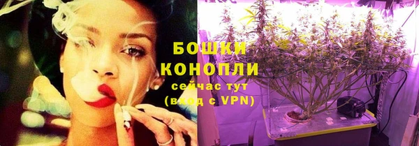 spice Богородицк