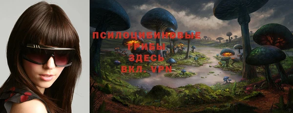 винт Бородино