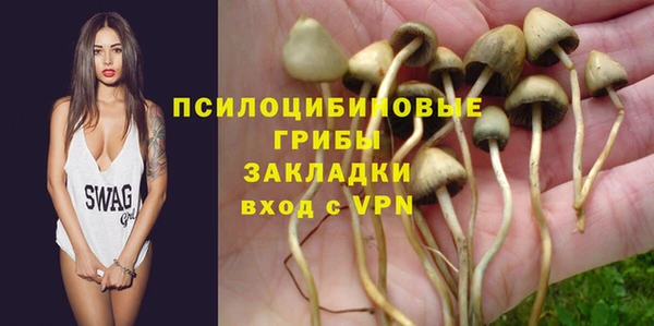 a pvp Богданович